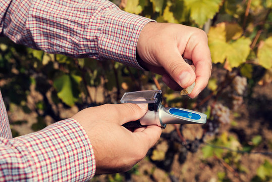 Man?s hands measure with  refractometer in a vineyard. Selective focus