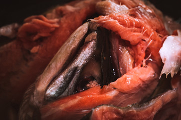 Salmon Head and Frame in a Metal Pan before Boiling. Preparing Salmon Fish Head Soup.