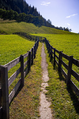Fototapeta na wymiar hiking path with wooden fence in a field