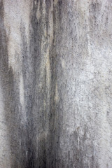 Old concrete texture background for design. Authentic Cemetery and Tombstone Texture Photograph. - Image - Image