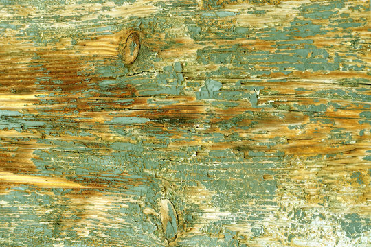 Peeling Olive Green Paint On Ancient Wood