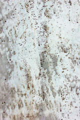 Old concrete texture background for design. Authentic Cemetery and Tombstone Texture Photograph. - Image - Image