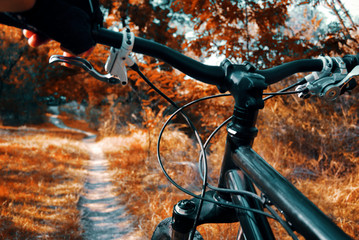 Fototapeta na wymiar Mountain bike background. Bicyclist's hand and mtb handlebar