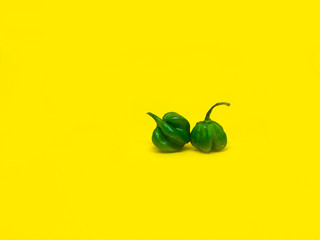 Capsicum Chinese pepper Chili on a yellow background. 
