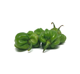 Green Capsicum Chinese Chili pepper on a white background 