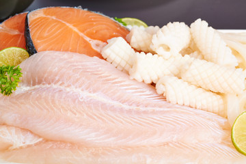 fish and squid