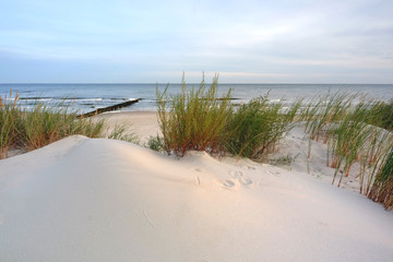 Wydmy na wybrzeżu Morza Bałtyckiego. - obrazy, fototapety, plakaty