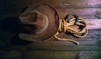 Horse Shoe Hat