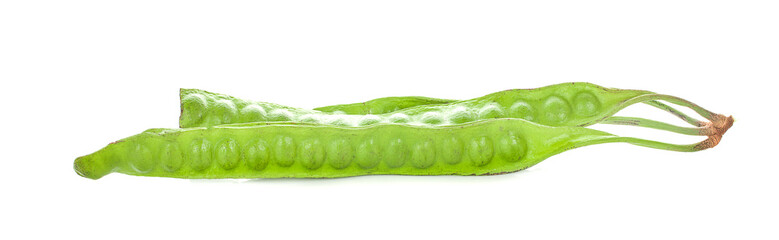 Sato seeds, Parkia speciosa seeds or bitter bean on white background