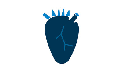 Human heart icon for medical and cardiovascular health concept