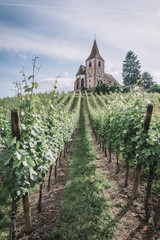 Fototapeta na wymiar Church in the heart of the vineyards in Hunawihr, Alsace