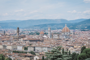 Fototapeta na wymiar Florence Skyline with Cathedral of Santa Maria del Fiore, Italy