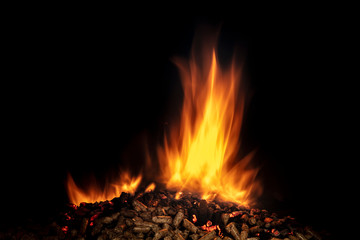 wood pellets on a black background