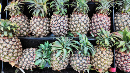 Pineapple pile on the market