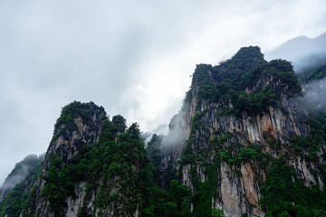 High rock cliff with trees in morning mist and clouds
