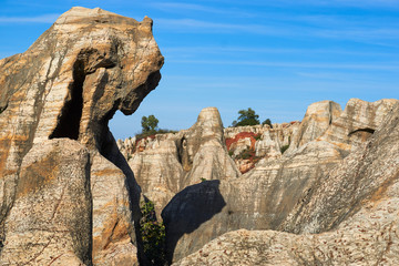 Cerro del Hierro, Natural Park. Seville. Andalusia, Spain