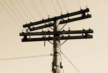 Single ancient wooden telegraph pole with wires, horizontal toned image