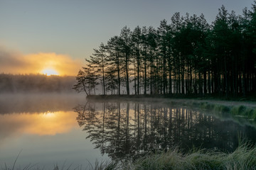 Scenic view from swamp , morning landscape with fog over a small forest lake and swamp  at autumn...
