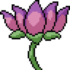 Naklejka na ściany i meble vector pixel art lotus