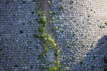green grass growing on the fortress wall