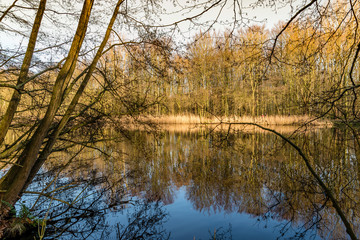Fototapeta na wymiar Autumn pictures with reflections in the water in autumn light