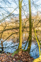 Autumn pictures with reflections in the water in autumn light