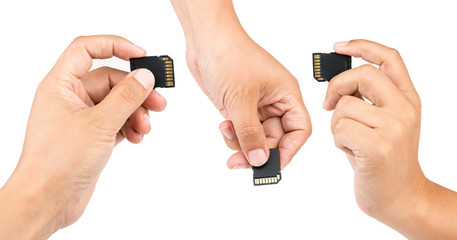 Fototapeta premium 几个拿着存储卡的手