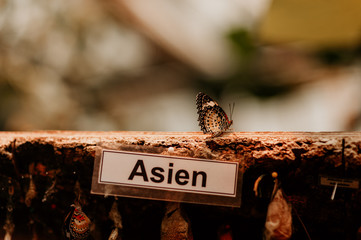 Ländertafel mit Wegweisern