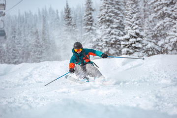 Freeride skier at off-piste slope in forest