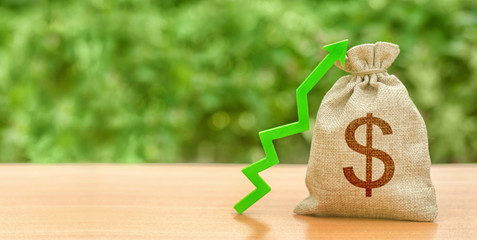 Money bag with dollar symbol and green up arrow. Increase profits and wealth. growth of wages. Investment attraction. loans and subsidies. favorable conditions. Favorable conditions for business. - obrazy, fototapety, plakaty