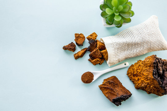 Flat lay view wild natural chaga mushroom, Inonotus obliquus powder and pieces for making tea and coffee. Healthy herbal plant based medicinal food supplement concept.