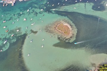 isola dei conigli