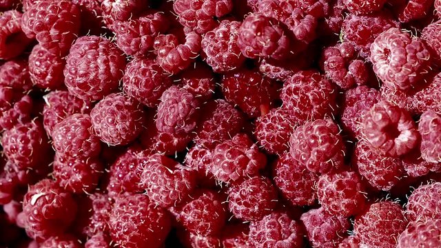 Raspberry-Fall 4K 3840 x 1260 h264 25 fps 