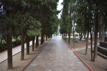 Park. Alley