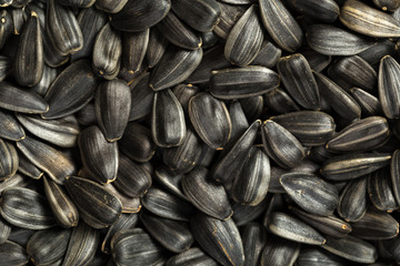 organic sunflower seed for background uses