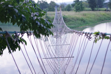 Obraz premium rope bridge in park