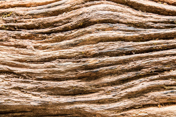 old wood texture of rope