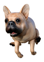 3D Rendering French Bulldog on White