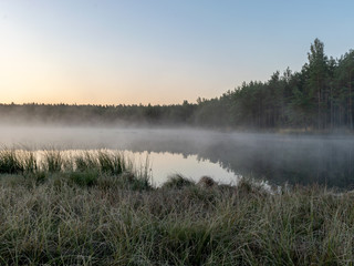 Scenic view from swamp , morning landscape with fog over a small forest lake and swamp  at autumn morning, frost, beautiful reflections, Driskina lake, Raiskums parish, Latvia