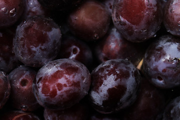 Fresh juicy black plums underwater close-up
