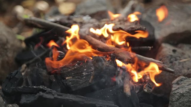  Burning branches on a picnic fire. Fire and coals in the forest in macro.