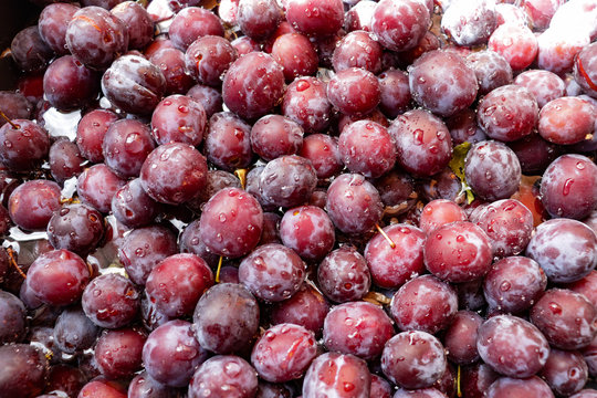 Fresh juicy black plums with water drop for background