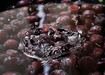Fresh juicy black plums under water close-up and splashes of water on the surface