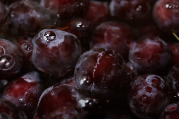 Fresh juicy black plums underwater close-up