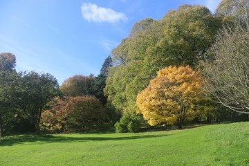 Autumn Colours England