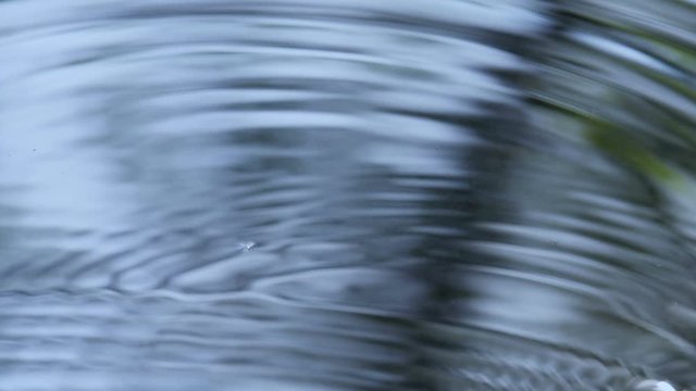 Droplets Fall into Water. Slow Motion at a rate of 120 fps. Reflected in a puddle of trees without leaves. In the water dripping creating circles