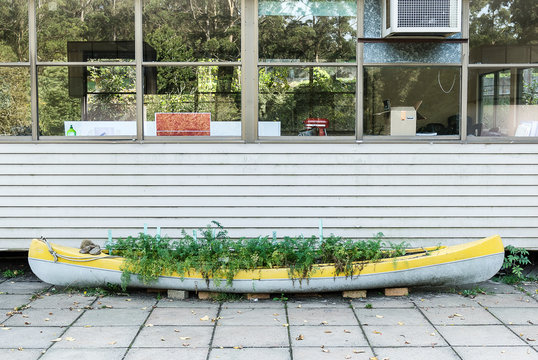 Old canoe reused as a herb garden.