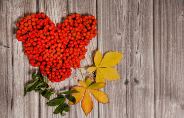 Autumn romantic composition. Heart of Rowan berries, chestnut leaves on a wooden background. Free space for your text.