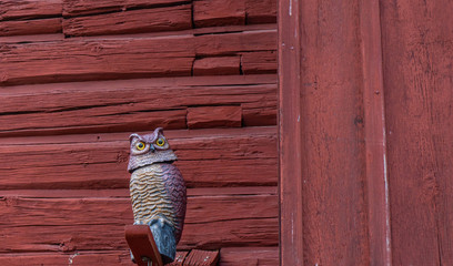 Wooden owl on red, old wall. Orebo town. Texture of old wood. Background photo with place for text.