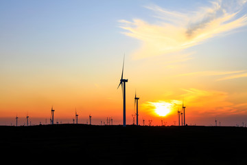Obraz premium Wind turbines in the evening